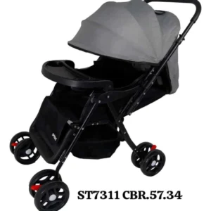 COCHE DE PASEO