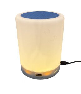 PARLANTE RECARGABLE C/LUZ BT FM 620 4-933 CBR.3.94 A49