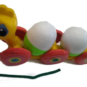 GALLINA EN CAJA 9105 CBR.2.07 A49