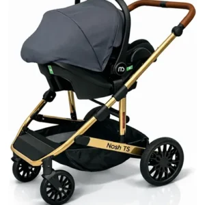 COCHE NASH TS GRIS Y DORADO        CBR.163.64 A49